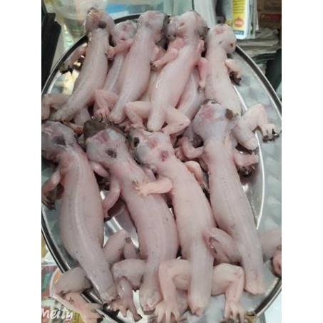 

(J-2.7✓) DAGING TOKEK GORENG 100% ASLI BERKUALITAS & BANYAK MANFAAT NYA paling laris