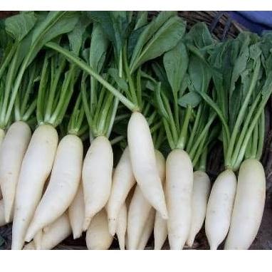 

⇇ Lobak Putih / Radish / Daikon 500 Gram (tanpa daun) ㅺ