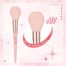 PINKFLASH Brush Makeup