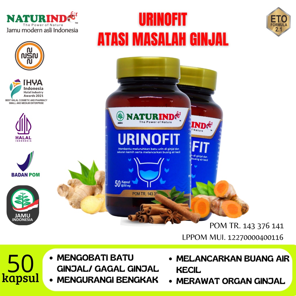 OBAT SAKIT GINJAL ANYANG-ANYANGAN HERBAL LIVER SAKIT KUNING PROSTAT SUSAH BUANG AIR KECIL INFEKSI SA