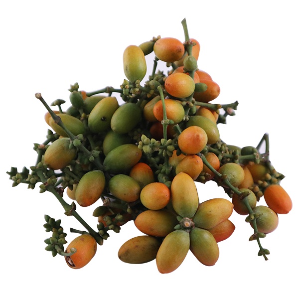 

HarvestMoon Buah Melinjo @250gr