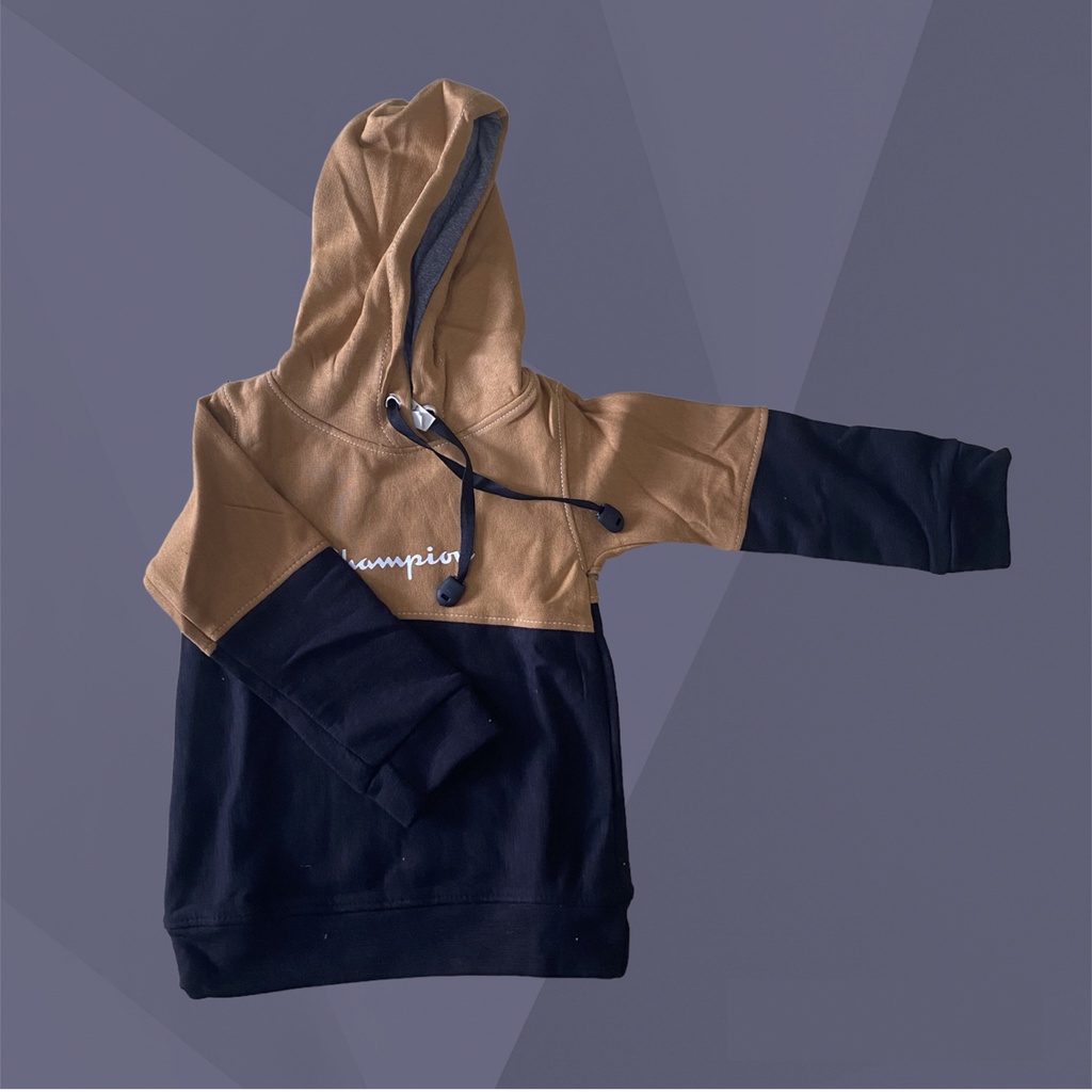 HOODIE ANAK UNISEX (NEW) / HOODIE ANAK CHAMPION