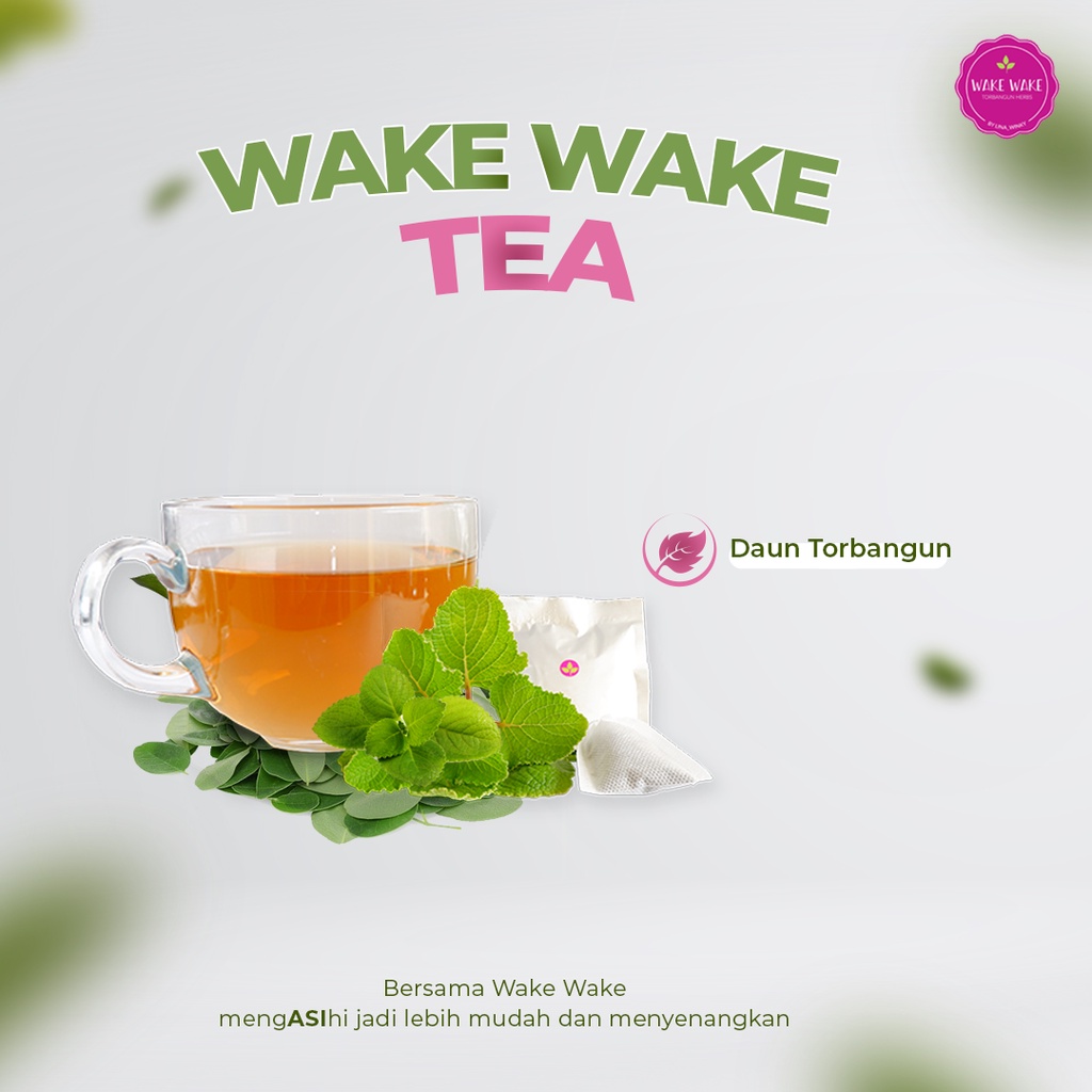 ASI Booster Torbangun - Wake Wake Tea (Daun bangun bangun) - 10 Sachet