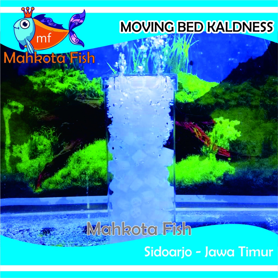 Filter Moving Bed Kaldnes | Filter Ikan | Filter Lucu | Filter Aquarium (FREE Buble Wrap)