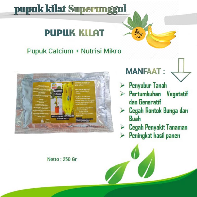 Pupuk Booster Organik Pelebat Buah Pisang Dan Perangsang Agar Cepat Berbuah