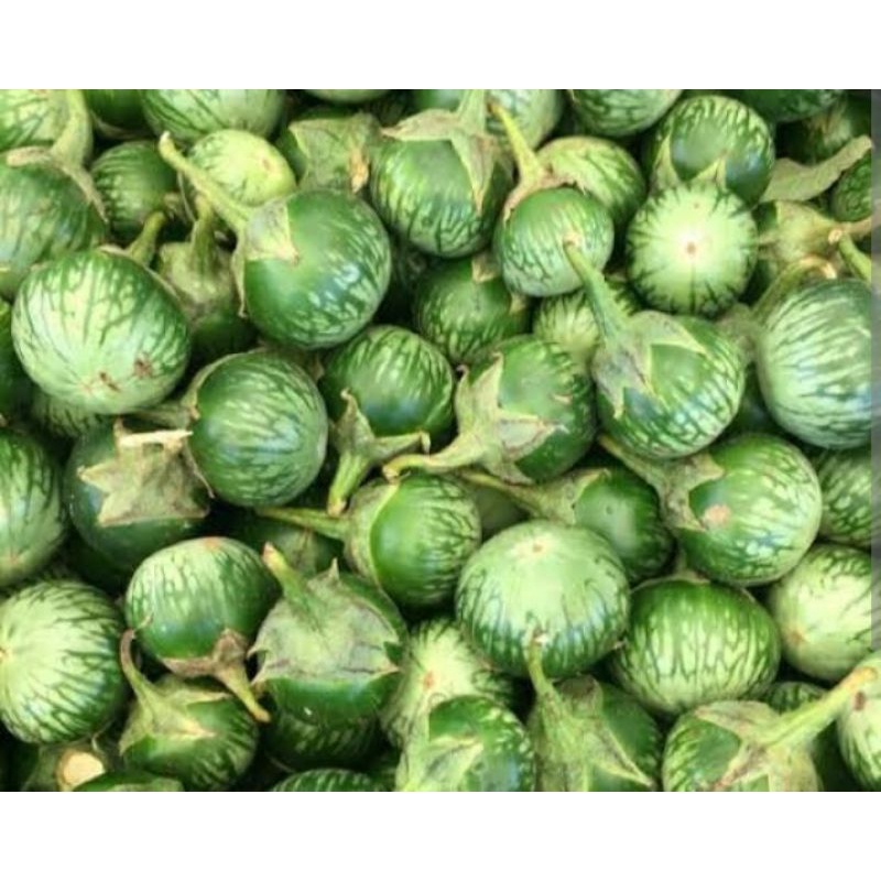 

TERONG BULAT PER 250 GR SAYUR SEGAR PALEMBANG