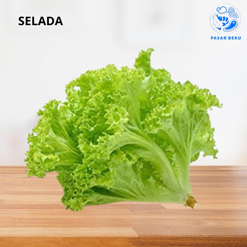 

Selada Keriting 250gr Sayuran Fresh Padang