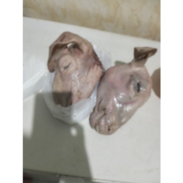 

kepala kambing