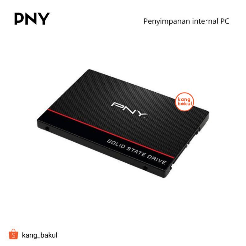 PNY M2 256 / SSD 120 GB / 240GB | Penyimpanan Internal PC atau Laptop | Produk Baru | Bergaransi
