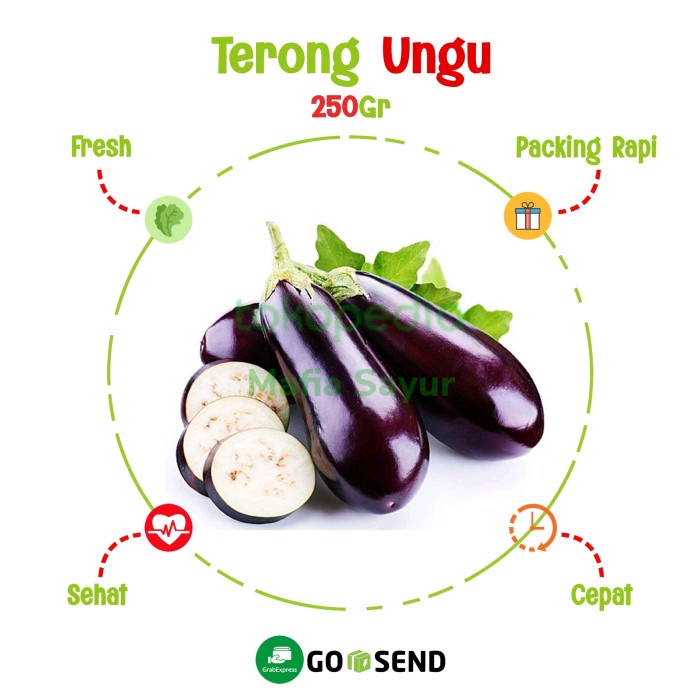 

TERONG UNGU 500gram / EGGPLANT FRESH - 500 gram