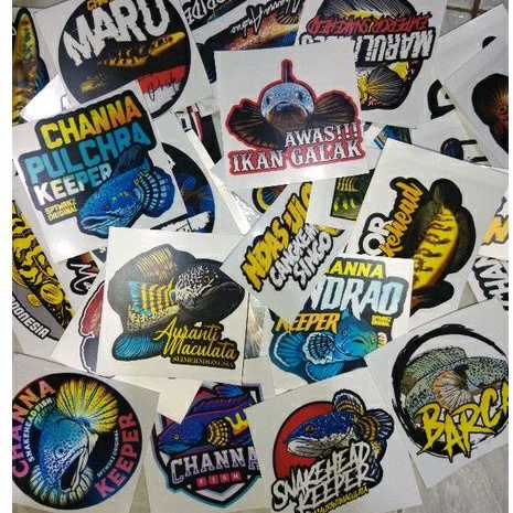 

stiker channa murah isi 50 pcs anti air top kualitas