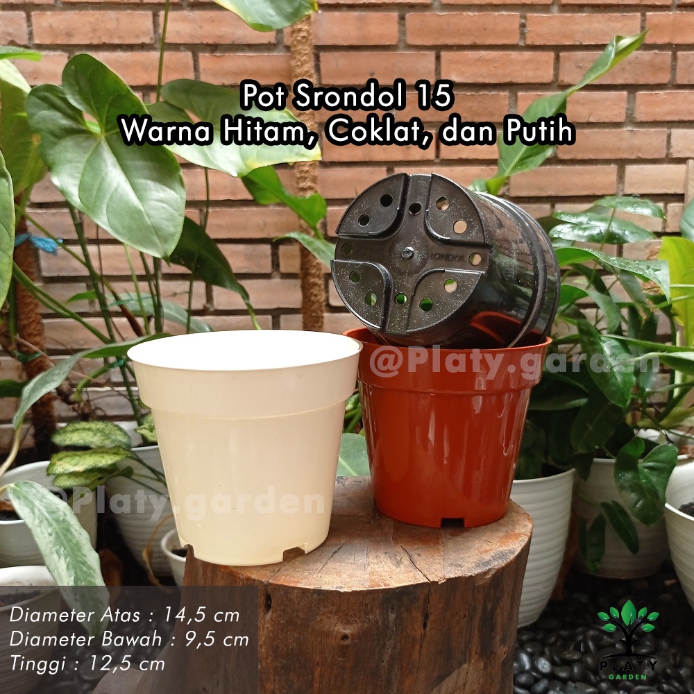 Pot Srondol 15 17 20 Hitam Coklat Putih | Pot Polos Ruplas Srondol