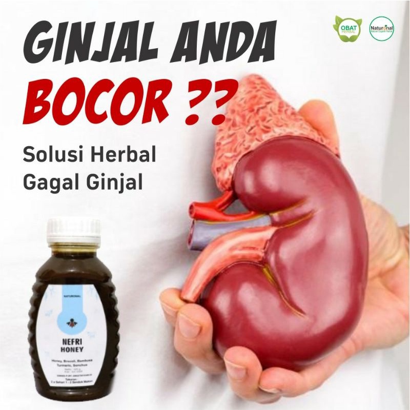 Madu Nefri  / Madu Ginjal / Obat Herbal Ginjal/Herbal Gagal Ginjal / Nefri Honey / Obat Herbal Ginja