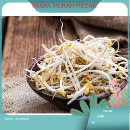 

Tauge Segar 250 gr Medan | PASAR MURAH MEDAN