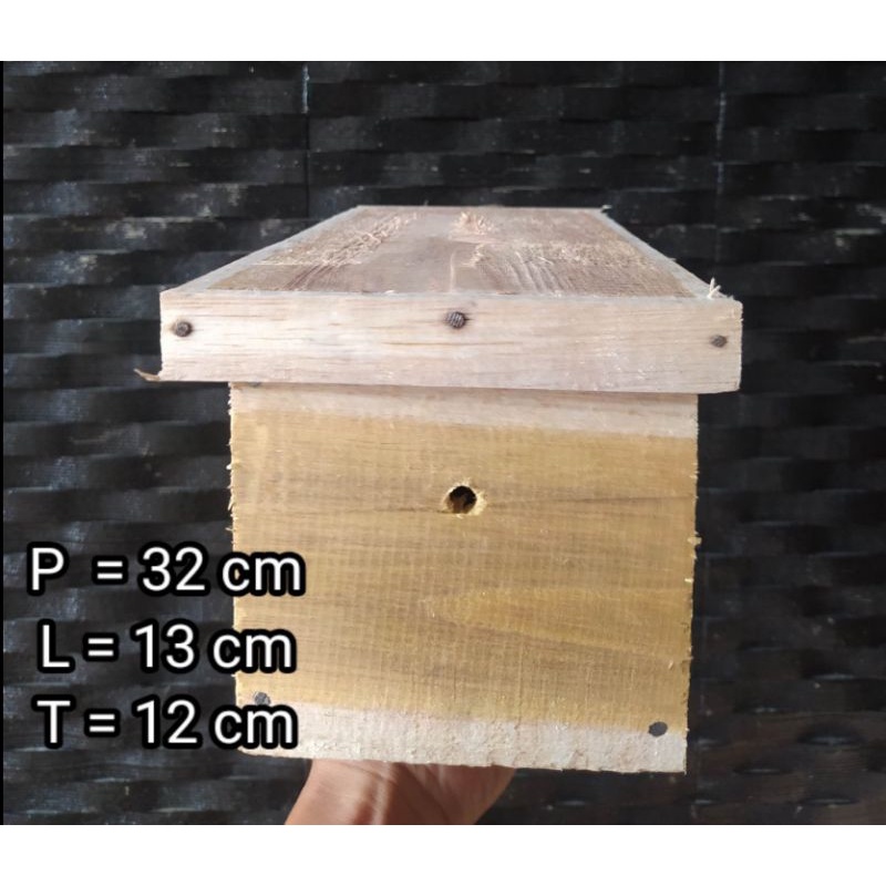 stup klanceng tewel medium, cocok untuk jenis laeviceps, drescheri, clypearis