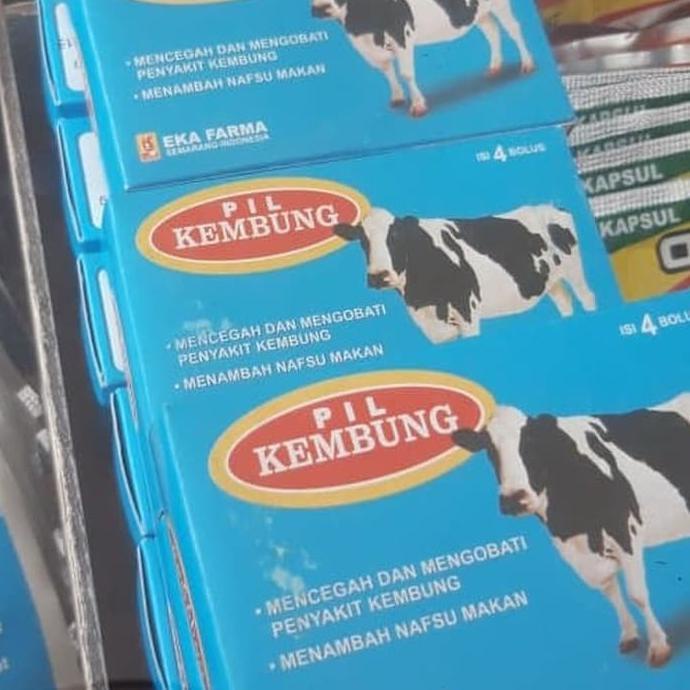Kembung - Obat Kembung Sapi Domba Dan Kambing Best Seller
