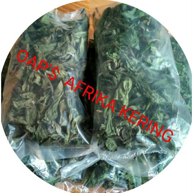 

[BISA COD] Daun teh afrika ASLI TANPA CAMPURAN / Obat herbal daun kering Afrika
