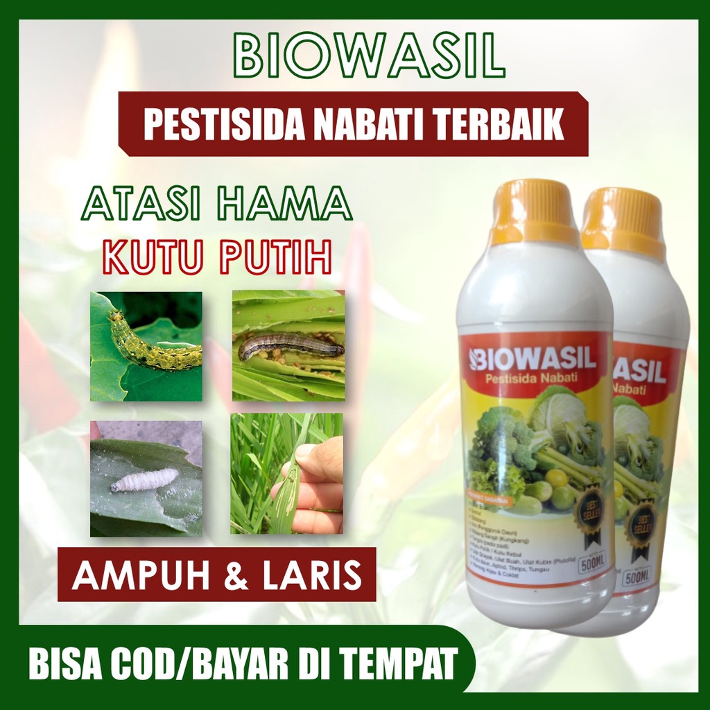 (BAYAR DI RUMAH) Biowasil Pupuk Pestisida Nabati Atasi Hama Ulat Cabe, Ulat Tomat, Ulat Bawang Daun,