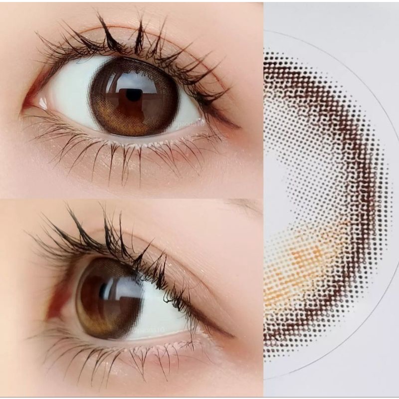 SOFTLENS PRINCESS GLOWY BROWN NORMAL MINUS MADE IN KOREA