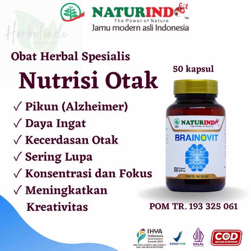 Brainofit Vitamin Otak Anak Cerdas Vitamin Otak Vitamin Otak Anak Vitamin Obat Untuk Anak Pintar Dan Cerdas Vitamin Otak Dewasa Vitamin Anak Cerdas 7 Tahun Daya Ingat