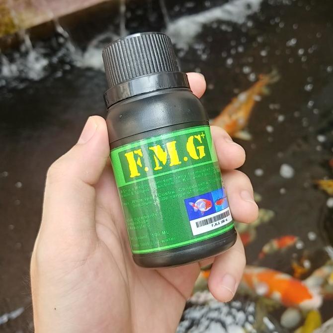 FMG+ obat flashing koi obat parasit dan jamur