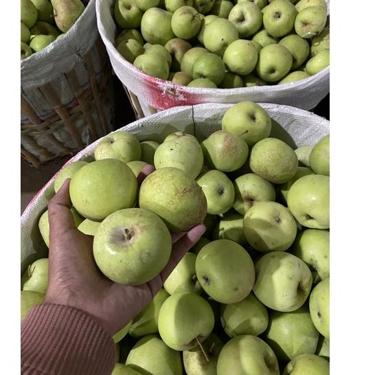 

COD✔️ buah apel grade a-b manalagi satu kilo isi 11-13 biji rasa manis