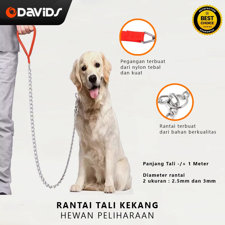 Rantai Anjing Kucing Tali Tuntun Kekang Kecil Hewan Kuat Besi Dog