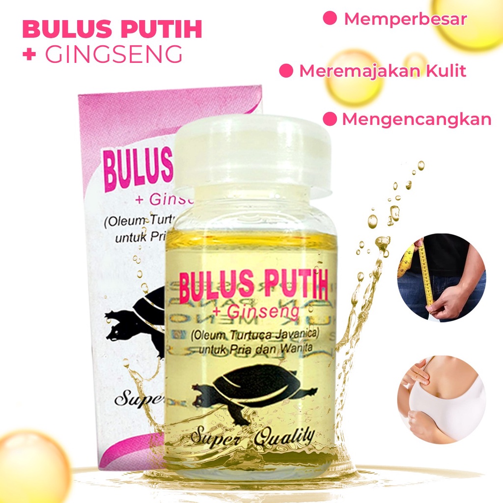 BEAUTY JAYA - COD Minyak Bulus Eyang Laut / Minyak Bulus Putih - Perbesar dan Mengecangkan Payudara dan Organ Pria