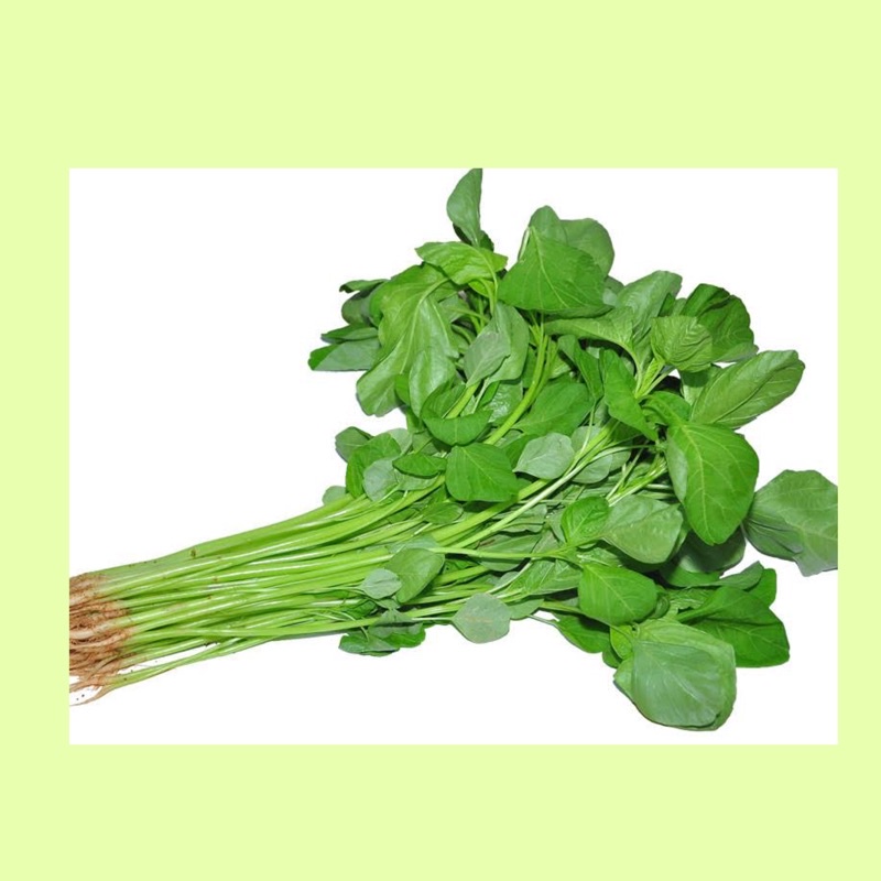

Sayur bayam / bayem / bayam fresh / spinach