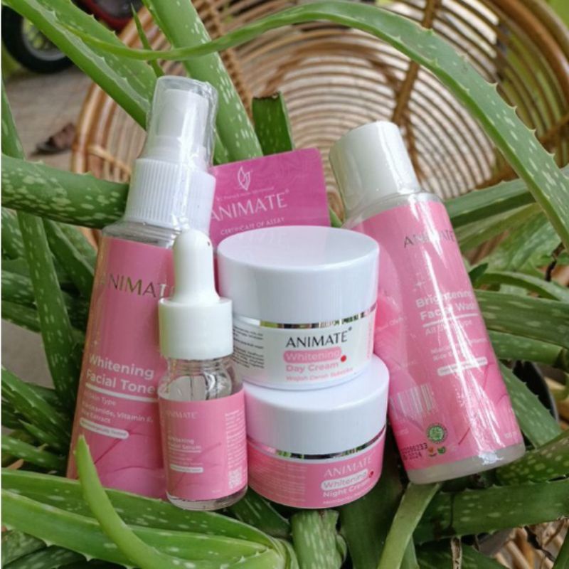 SKINCARE ANIMATE