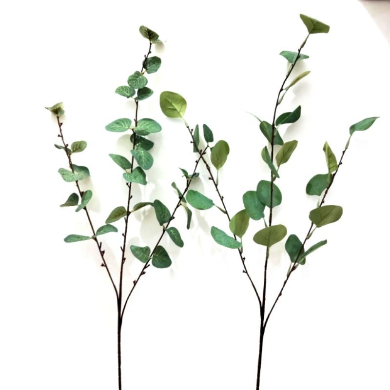 Daun Silver Dollar / Daun Artificial / Silver Dollar Artificial