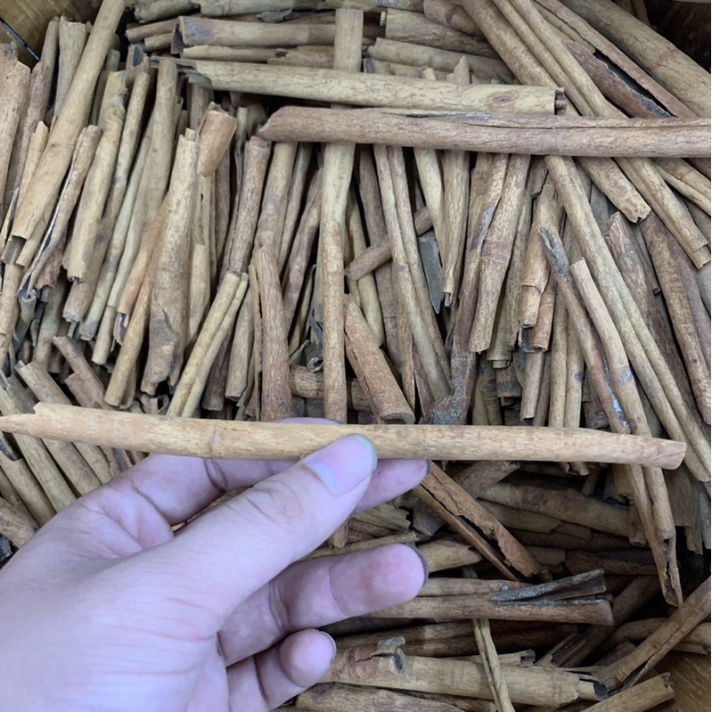 KAYU MANIS KUALITAS PREMIUM