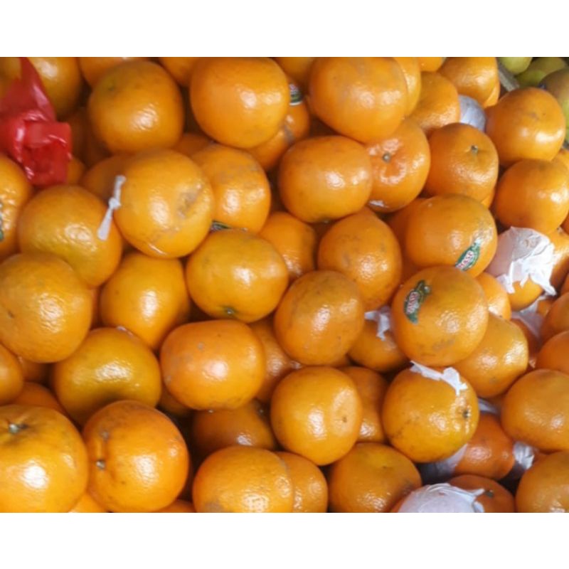 

BUAH JERUK KINO FRESH BUAH IMPORT PREMIUM 1 KG
