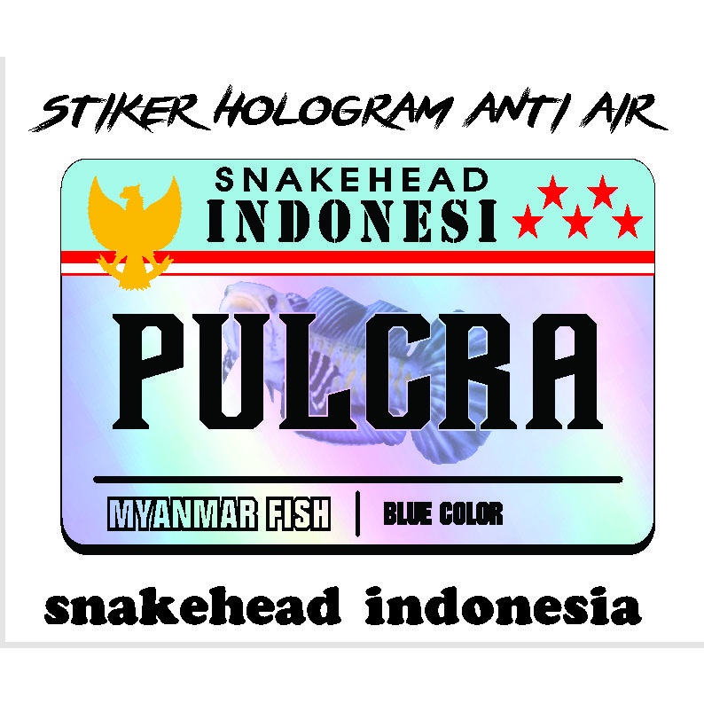 stiker hologram ikan galak channa/kartu ikan