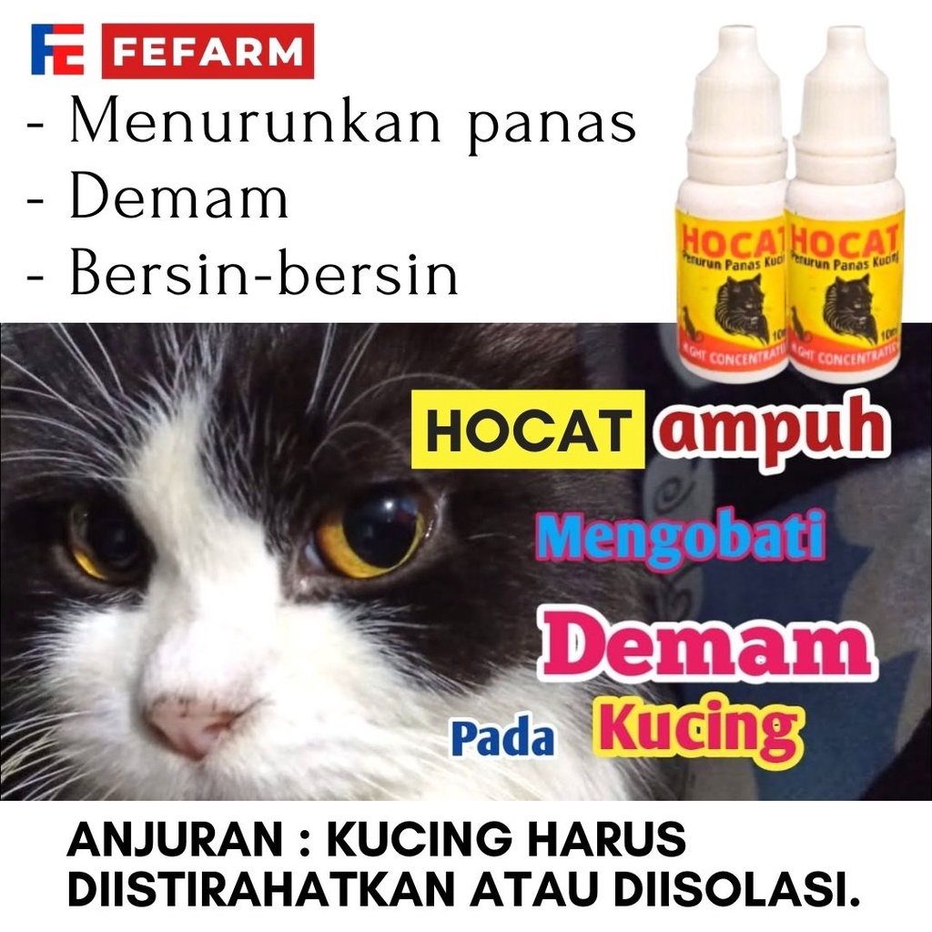 Obat Demam Panas Kucing Cat Kitten Hocat 10ml FEFARM