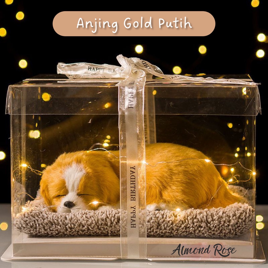 ANJING GOLD PUTIH - Hampers Boneka Tidur kado cewe kado pacar hadiah kado boneka kucing kucing arang