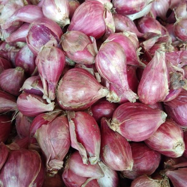 

[KODE PRODUK 7BRWF6948] Bawang Merah Brebes Super 1kg