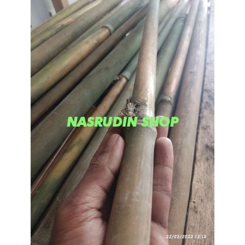 

[Fresh] POTONGAN BAMBU KECIL 50 CM / BAMBU HIJAU BUKAN BAMBU TAMIANG / BISA UNTUK JORAN