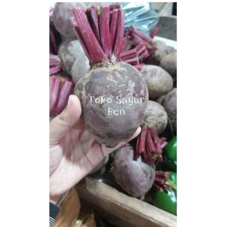 

buah bit / beetroot
