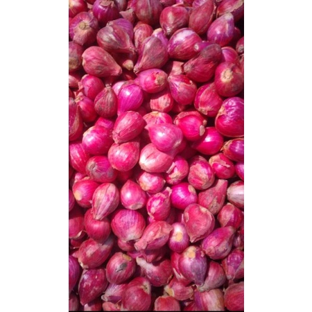 

Bawang Merah Brebes