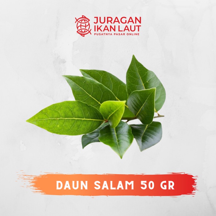 

Daun Salam Berkualitas - 50 Gram
