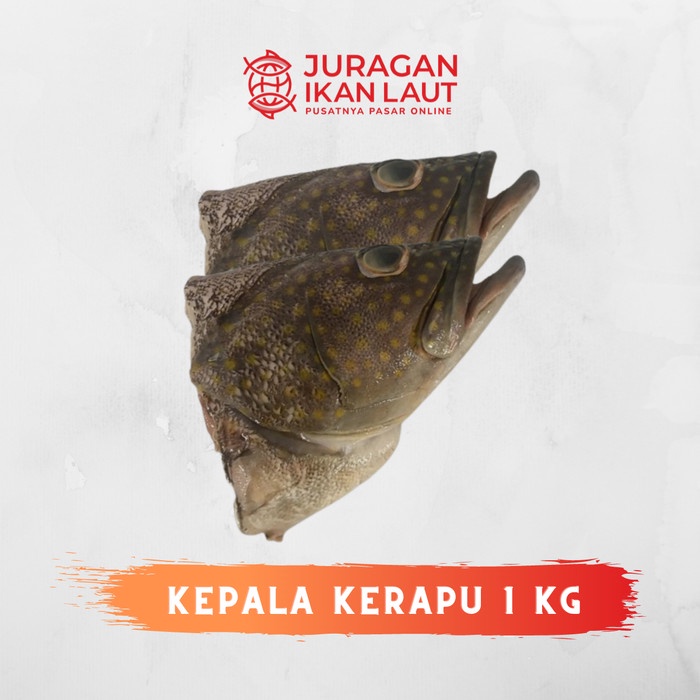 

Kepala Ikan Kerapu Segar Berkualitas - 1 Kilogram