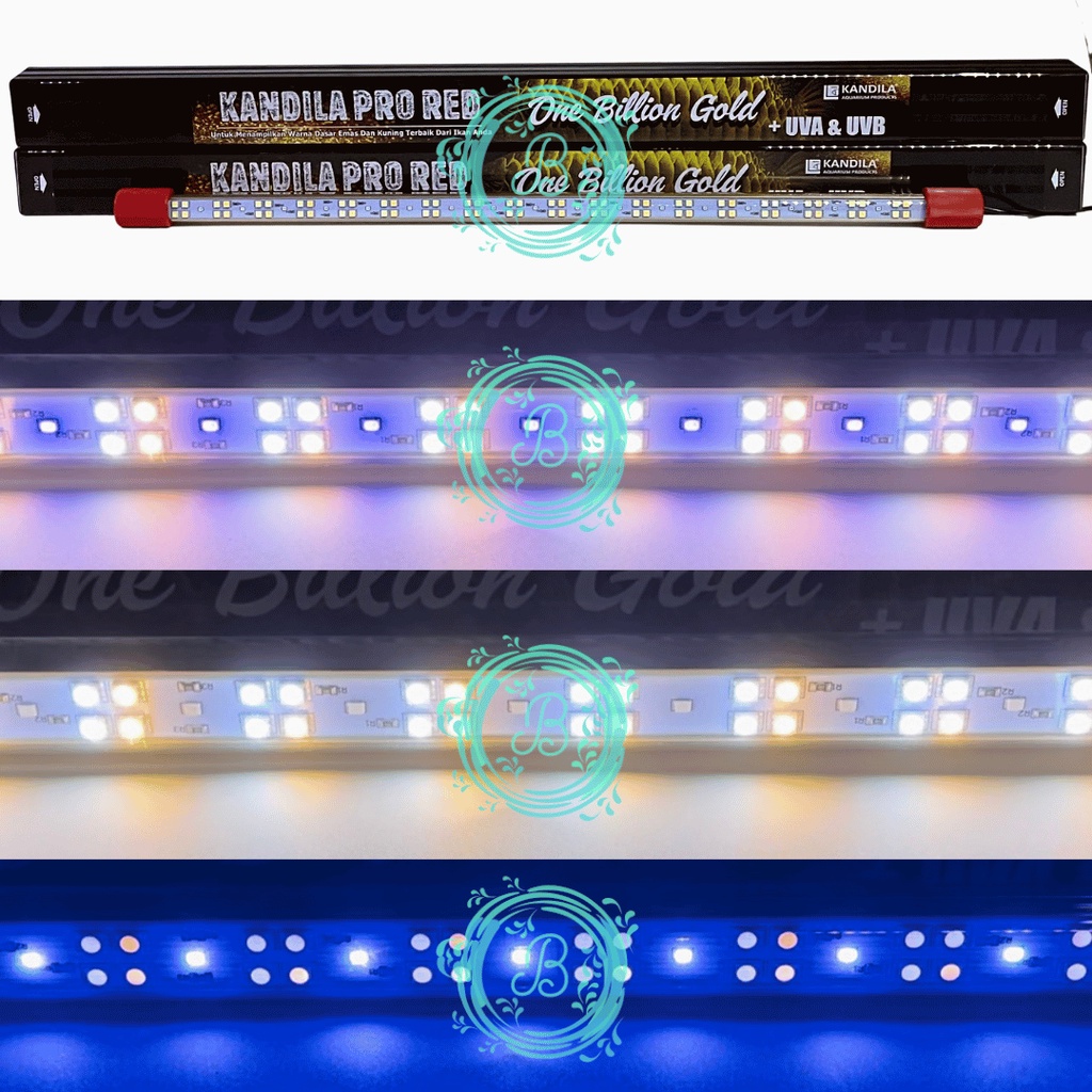 KANDILA PRO RED ONE BILLION GOLD 800 Lampu Tanning Ikan Arwana Arowana LED Taning Aquarium