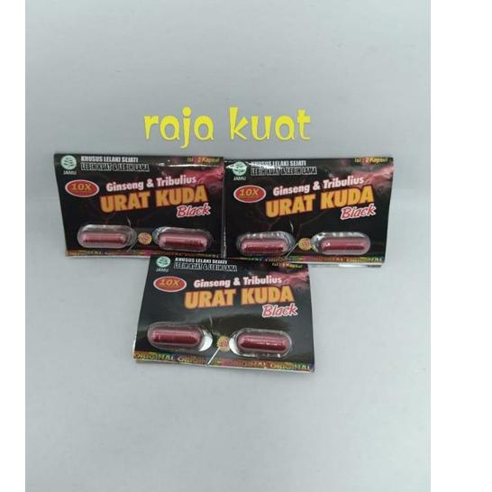 ㅾ urat kuda black 10 x blister ゕ