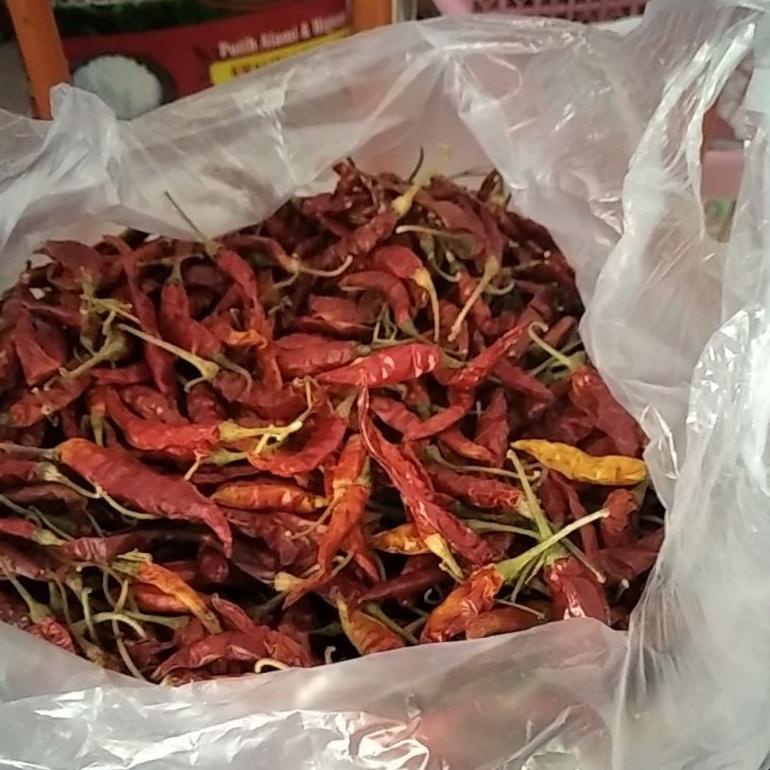 

FLASH SALE cabe Teja/kering india 1kg ♕ 872