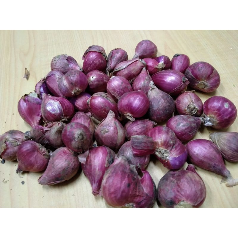 

bawang merah