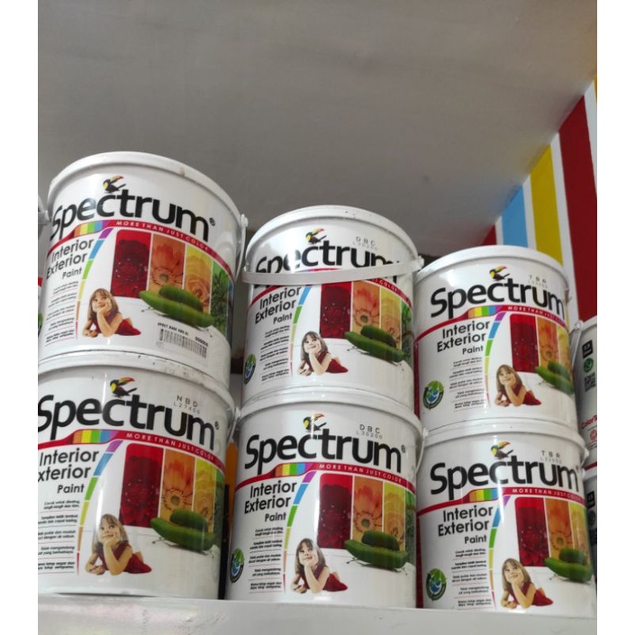 CAT TEMBOK SPECTRUM