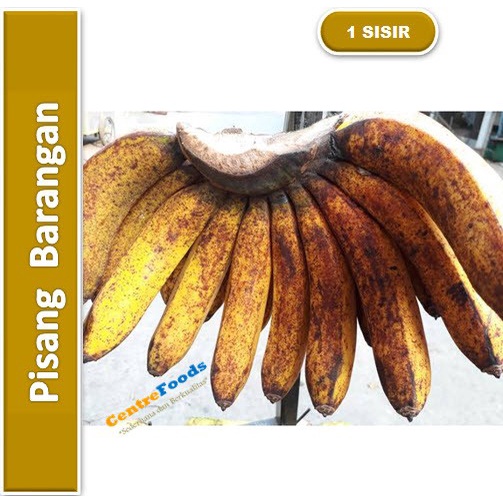 

Buah Pisang Barangan - Pisang Medan | 1 Sisir [ Harga Per SISIR ]