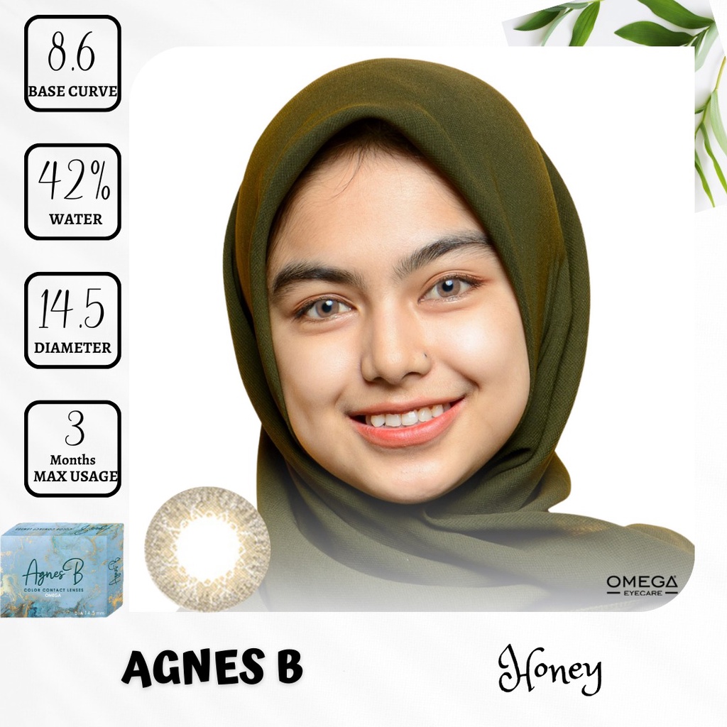 SOFTLENS AGNES B MINUS 0.50 SD 2.00