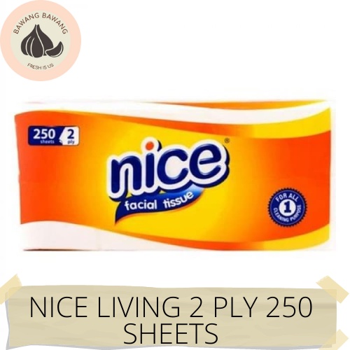 NICE LIVING 2 PLY 250 SHEETS